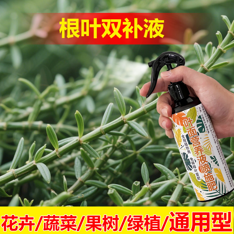 植物专用肥料盆栽花卉盆景石榴花树苗花肥营养液土培水溶化肥料