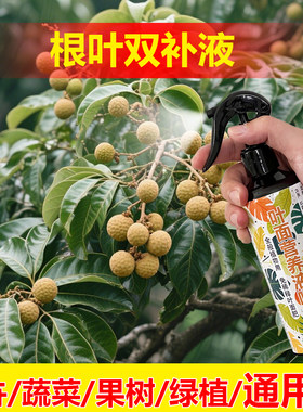 植物专用肥料营养液吉利红花烂叶子发软焦尖发黑发黄发蔫软下垂