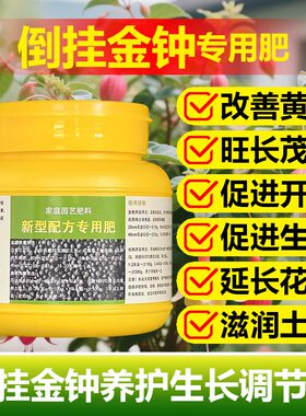 倒挂金钟专用肥料盆栽小苗倒挂金钟花肥营养液专用土水培叶面肥料