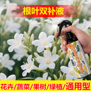 植物专用肥料七叶莲营养液叶子枯黄叶斑发黑打蔫耷拉掉叶面肥料
