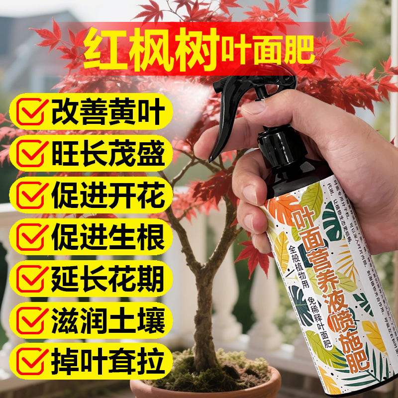 红枫树专用肥料盆栽羽毛枫黄金流泉枫金隐秋月土壤营养液叶面肥料