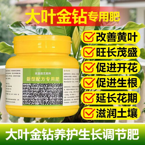 大叶金钻专用肥料盆栽植物促长新叶营养液绿公主蔓绿绒养殖花肥料