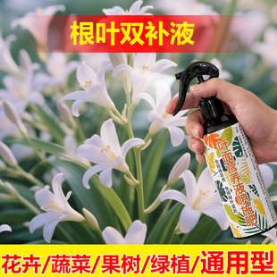 植物专用肥料盆栽马缨丹花土营养液结籽开花变色发芽长叶面肥料
