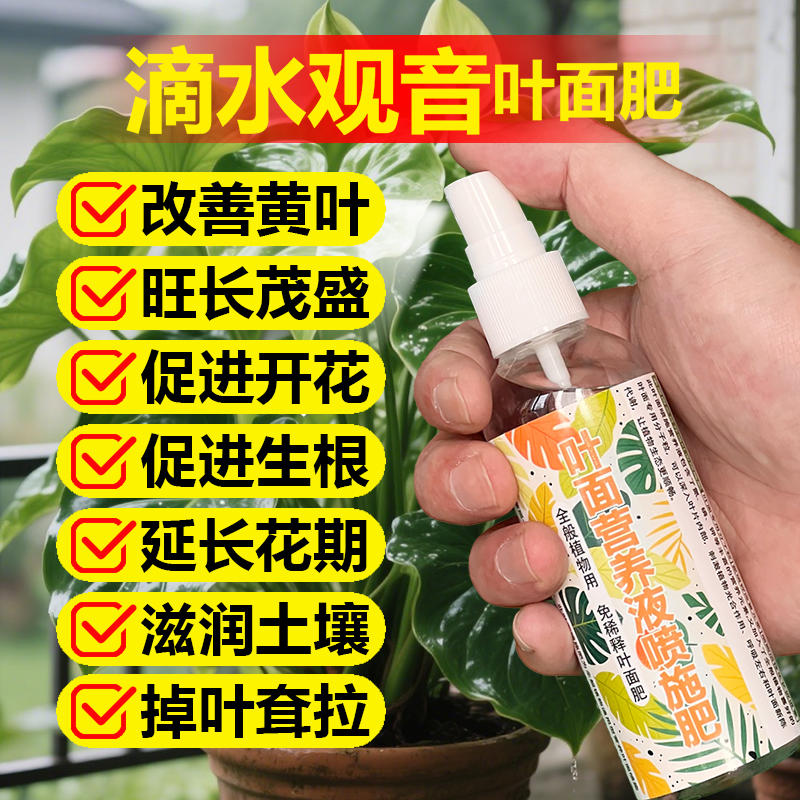 滴水观音专用肥料绿植物水培土培小苗复合营养液叶面肥水溶化肥料