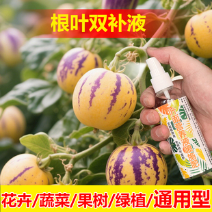 植物专用肥料花盆栽绿植专用土夏威夷竹营养液叶面肥氮磷钾肥料