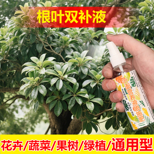 植物专用肥料绿植夏威夷竹营养液叶面肥有机肥氮磷钾水溶化肥料