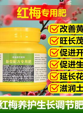 红梅水培专用营养液室内水养干枝鲜枝盆栽绿植物腊梅水溶花卉肥料