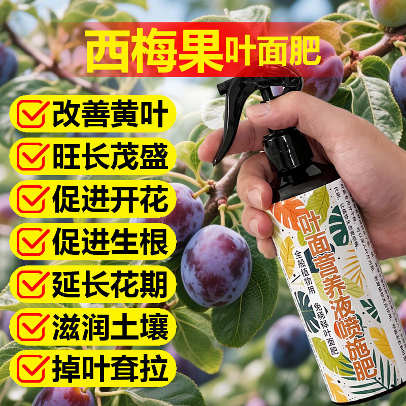 西梅果专用肥料西梅树苗营养液氮磷钾有机肥盆栽种植土水溶化肥料