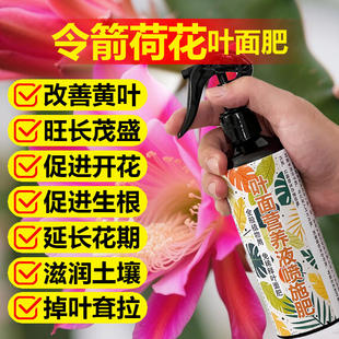 令箭荷花专用肥料花卉营养液叶片干瘪锈打蔫枯萎发红开花发芽肥料