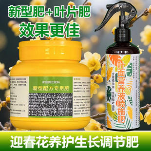 迎春花专用肥料专用土培水培老桩树苗花盆栽盆景营养液叶面肥肥料