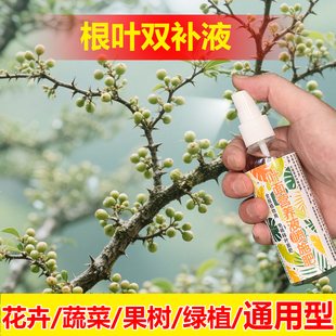 植物专用肥料花肥绿植夏威夷竹土壤复合营养液叶面肥水溶化肥料