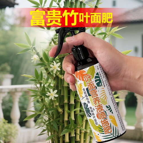 富贵竹专用肥料土培水培植物盆栽复合营养液叶面肥花肥水溶化肥料