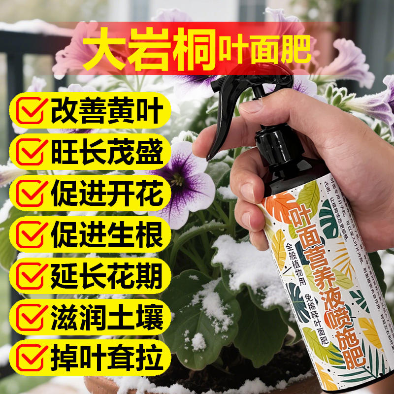 大岩桐专用肥料花盆栽开花苗营养液发黄掉落干枯发蔫黑斑叶面肥料