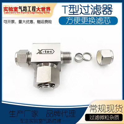 定制316不锈钢T型过滤器/