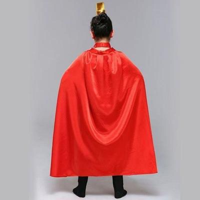 成人将军战袍骑士大侠斗篷