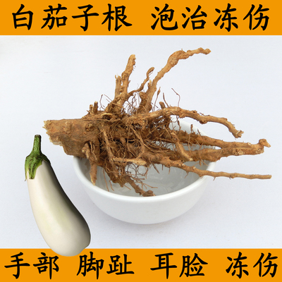 茄子根白茄子根1斤茄子杆冻疮