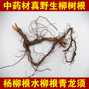 大山新鲜晒干柳树根垂柳树根红皮柳树根中药材柳树根杨柳根杨柳根