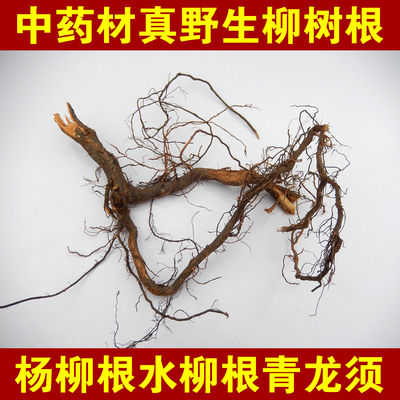 柳树根红柳根杨柳根中药材
