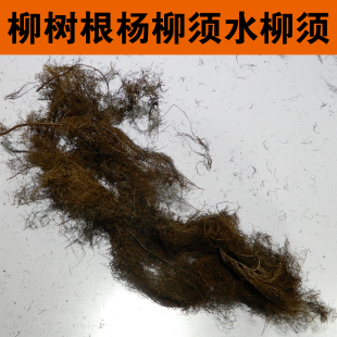 中药材柳树根杨柳须晒干水柳须红龙须 青龙须青钱柳根须正品包邮