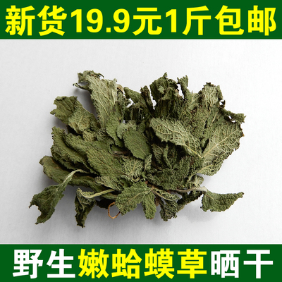 野生蛤蟆草野生荔枝草1斤包邮