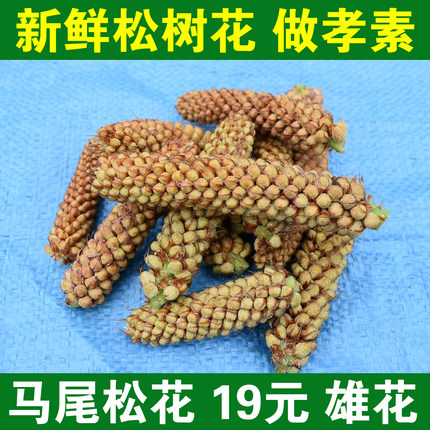 今年新货新鲜东北松花马尾松树花 松花粉 晒干松树花朵粉松花酵素