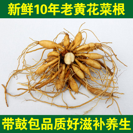 新鲜黄花菜根中药材500g包邮大山金针根苗生萱草根忘忧草根炖猪脚