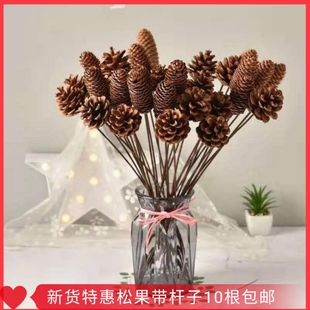 干枝天然干花莲蓬头松枝松果风干圣诞摆件道具拍照背景插花装饰家