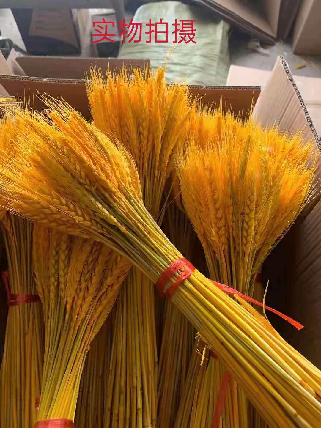 麦穗 纯手工天然植物家居酒店花艺百搭干花干草永生花拍摄道具