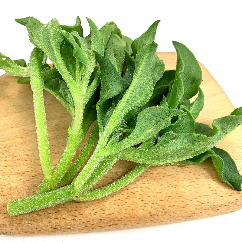 新鲜冰草 冰菜 西餐凉拌蔬菜酒店火锅生吃沙拉菜 江浙沪皖1件包邮