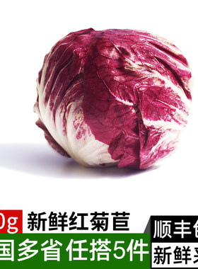 新鲜蔬菜红菊苣沙拉食材