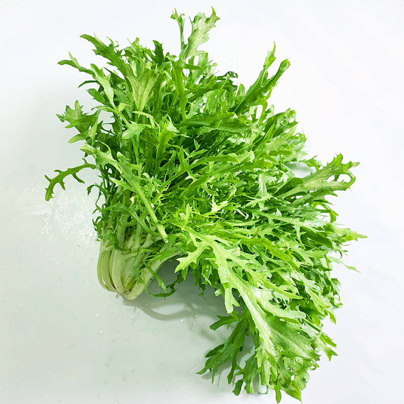 新鲜苦菊250g蔬菜沙拉食材