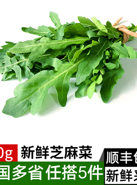 新鲜芝麻菜250g 火箭菜德国芥菜 西餐生吃沙拉蔬菜食材 满5件包邮