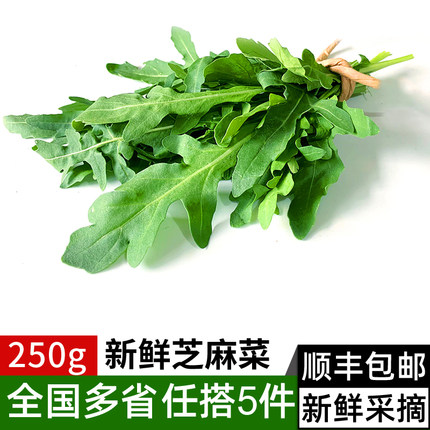 新鲜芝麻菜250g 火箭菜德国芥菜 西餐生吃沙拉蔬菜食材 满5件包邮