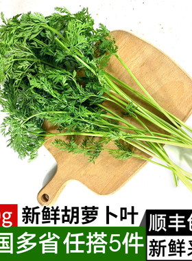 新鲜胡萝卜叶子500g 新鲜现摘萝卜叶 萝卜缨子 新鲜蔬菜胡萝卜叶