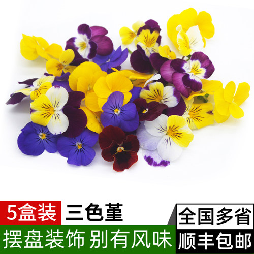 新鲜三色堇摆盘装饰花草
