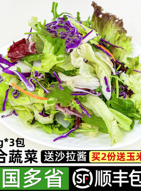 新鲜沙拉蔬菜食材150g*3包+7包沙拉酱 生吃沙拉色拉轻食健身餐