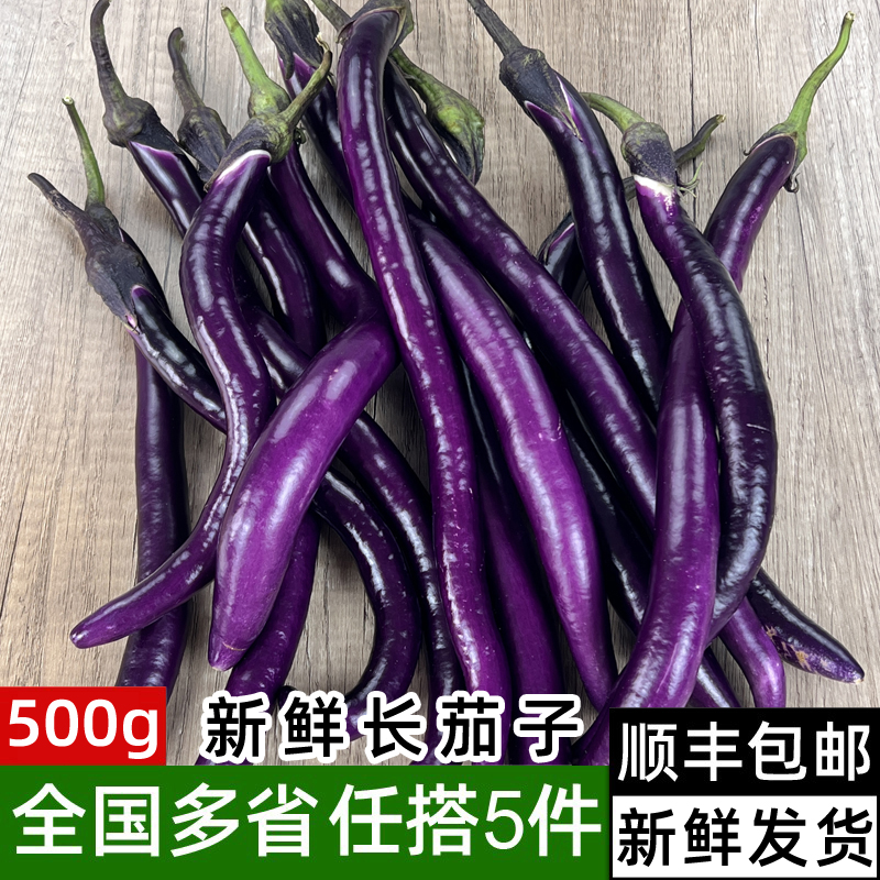 长茄子杭茄农家新鲜蔬菜