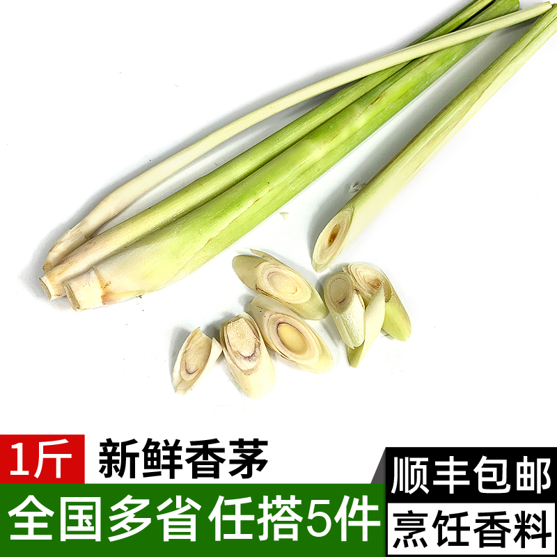 新鲜香茅泰式料理调味香料