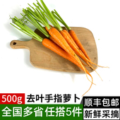 去叶手指胡萝卜500g 包邮 生吃迷你小胡萝卜沙拉食材新鲜蔬菜 5件