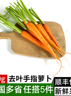 去叶手指胡萝卜500g 生吃迷你小胡萝卜沙拉食材新鲜蔬菜 5件包邮