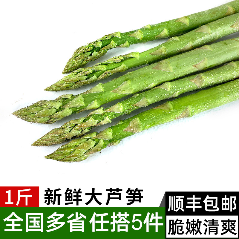 新鲜大芦笋500g 农家现摘新鲜蔬菜绿芦笋青芦笋凉拌菜食材龙须菜