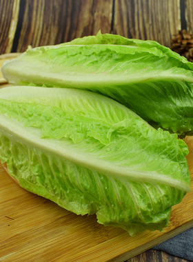 包心罗马生菜250g 黄心罗马罗纹凯撒生菜 西餐沙拉食材 满5件包邮