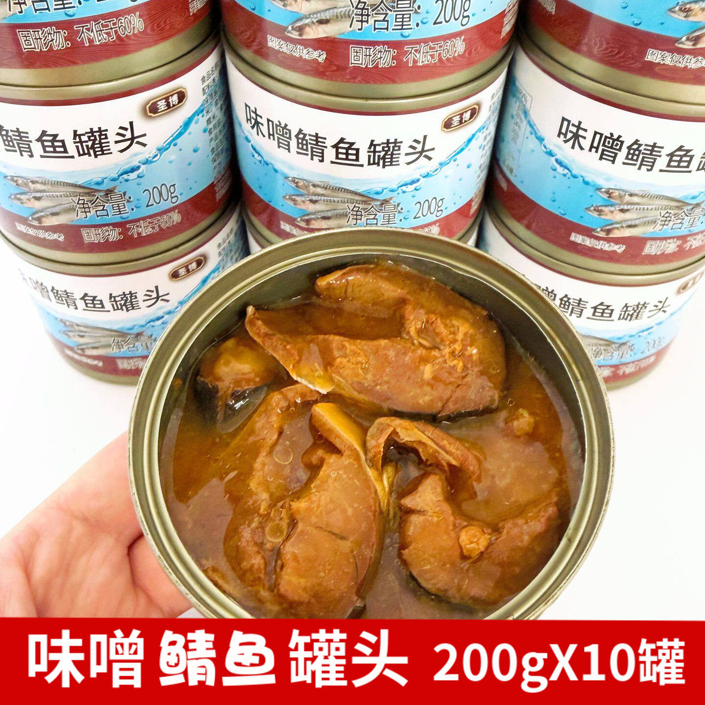 10罐味噌大酱鲭鱼出口即食鱼罐头