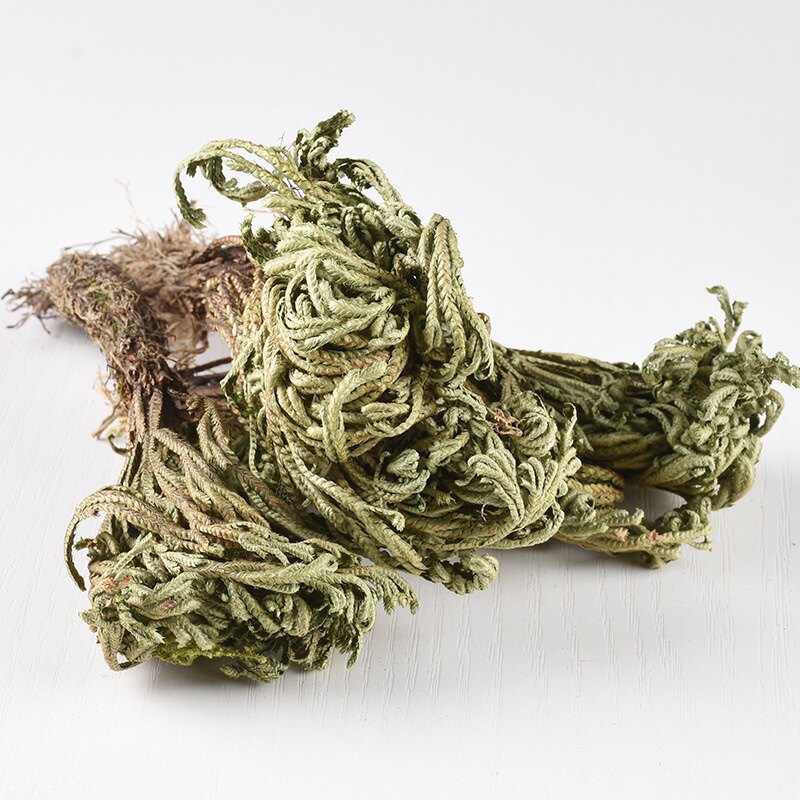 卷柏中药1000克包邮卷柏九死