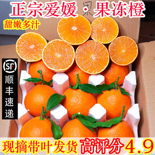 【顺丰当天发】精品爱媛38果冻橙