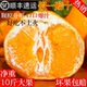 正宗四川春见耙耙柑10斤特级应当季 新鲜孕妇水果杷杷粑粑柑橘丑桔