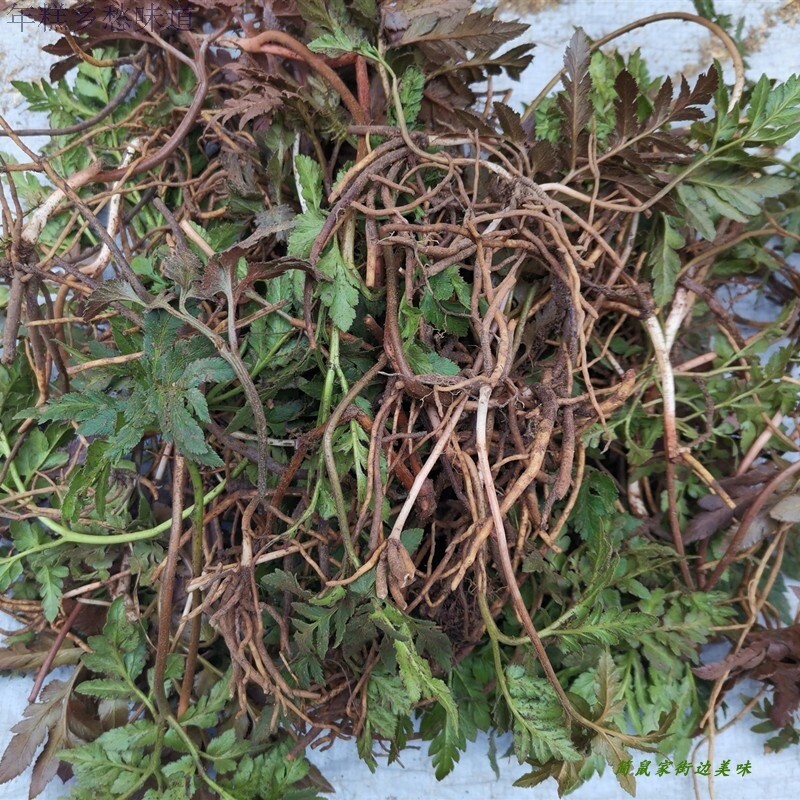 特产蛇不见50g 凉草 小春花阴地蕨良枝草 福建屏南青草要膳