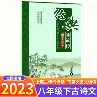经典咏流传诵读古诗文八年级下册语文古诗词诵读初中初二课内外文言文完全解读古诗文大全小古文古诗词全练一本通译文解析