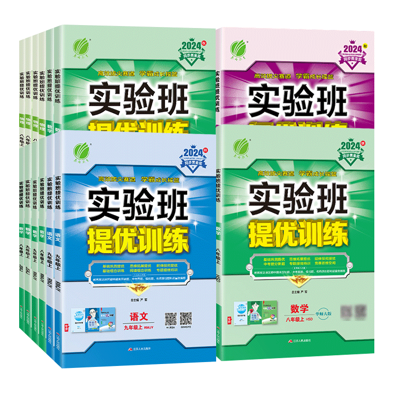 实验班提优训练七八九年级上下册