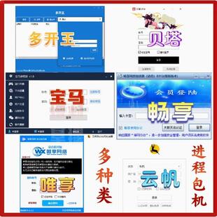 多开王进程包机/手游模拟器/单窗口单地址/端游雷电工作室多开